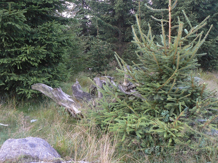 09054730.JPG