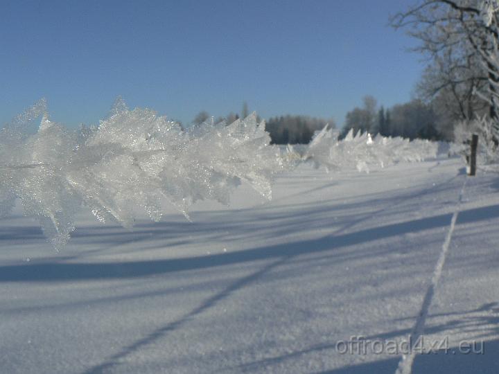 30122045.JPG